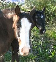 Hermanamiento entre ciudades